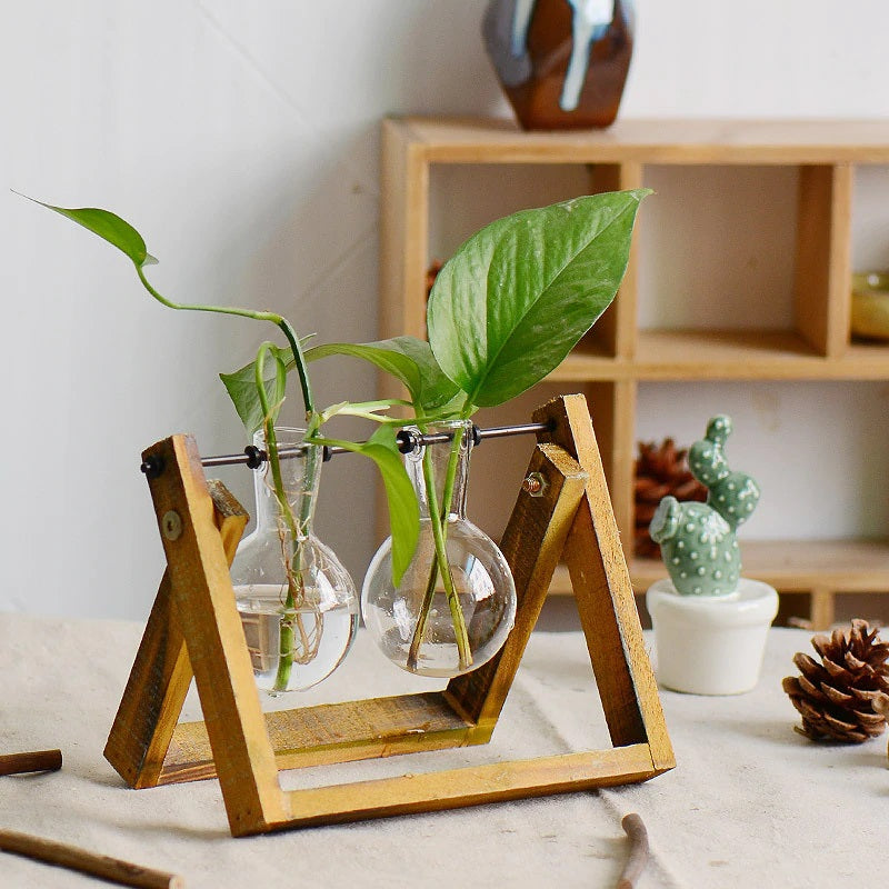 Terrarium - Natural Wood Hydroponic Transparent Vase
