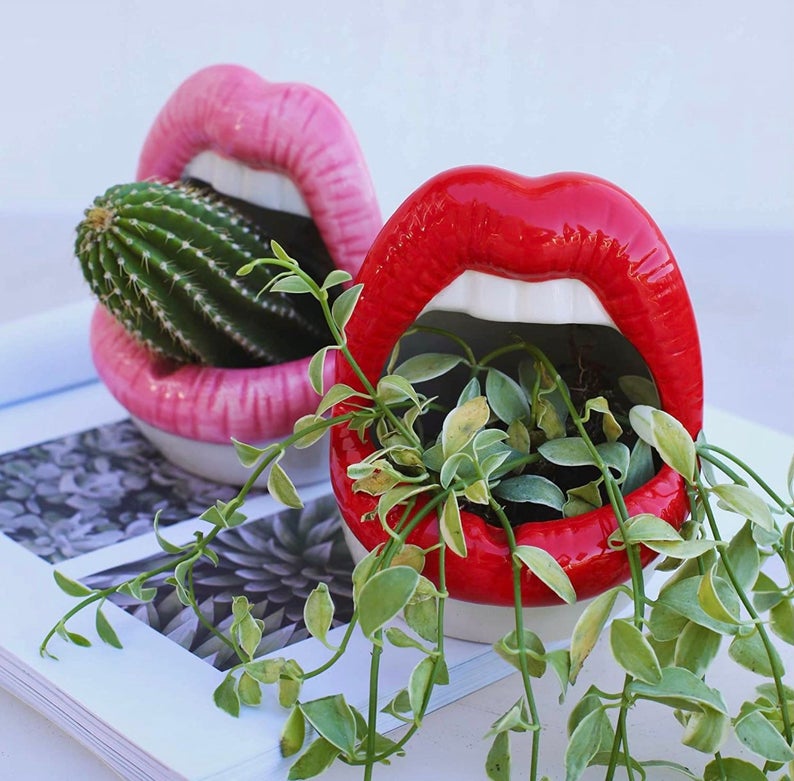 Lebe - Ceramic Lips Flower Pot