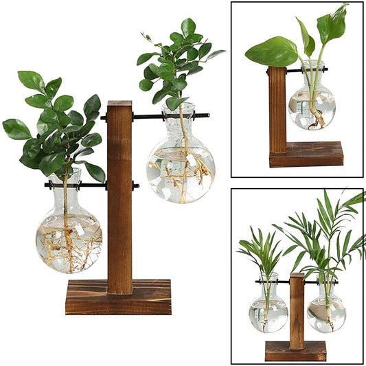 Terra - From the Forest Hydroponic Plant Vase