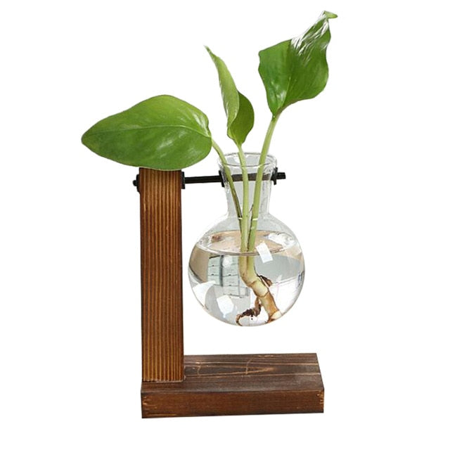 Terra - From the Forest Hydroponic Plant Vase