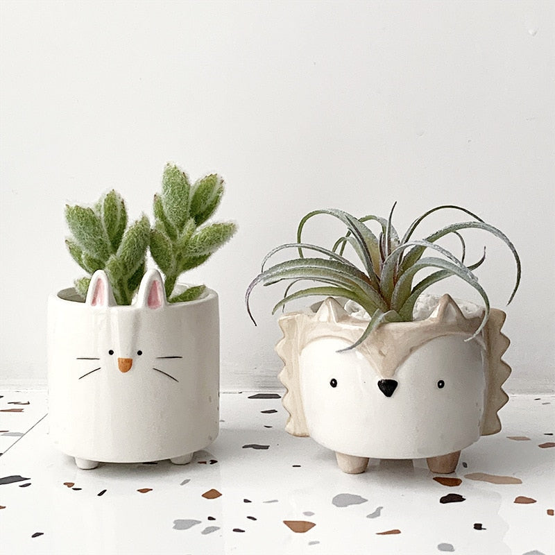 Fanima - Cute Cartoon Succulent Ceramic Flower Pot
