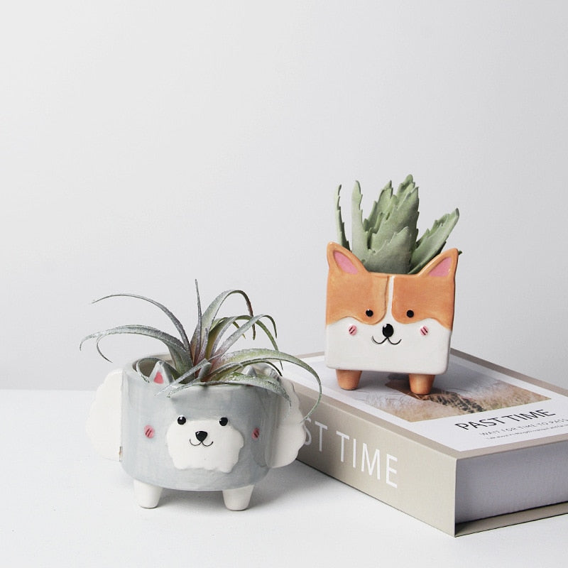 Fanima - Cute Cartoon Succulent Ceramic Flower Pot