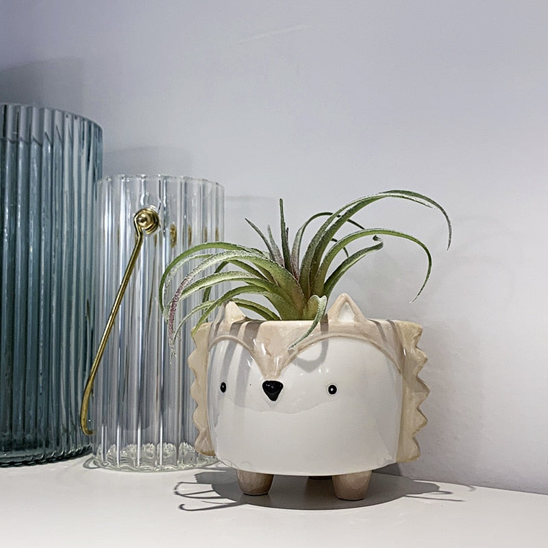 Fanima - Cute Cartoon Succulent Ceramic Flower Pot