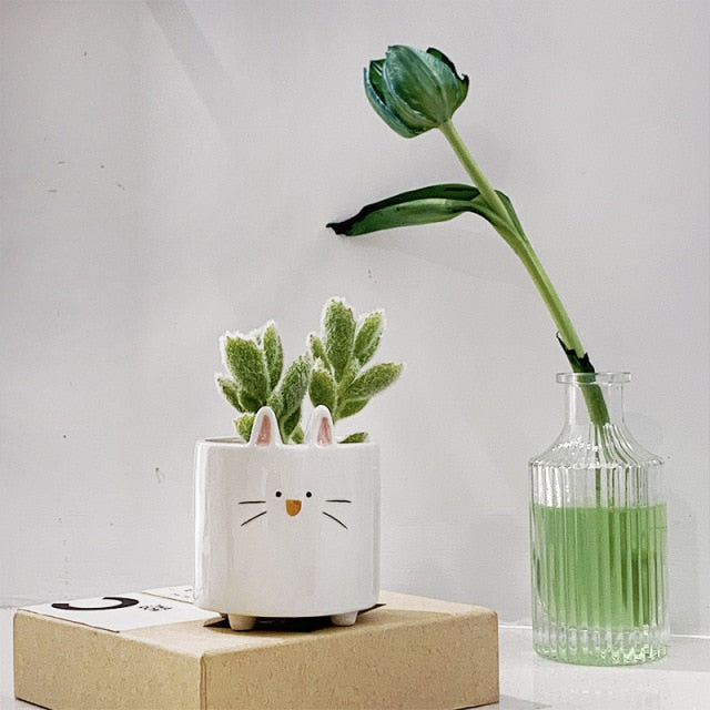 Fanima - Cute Cartoon Succulent Ceramic Flower Pot