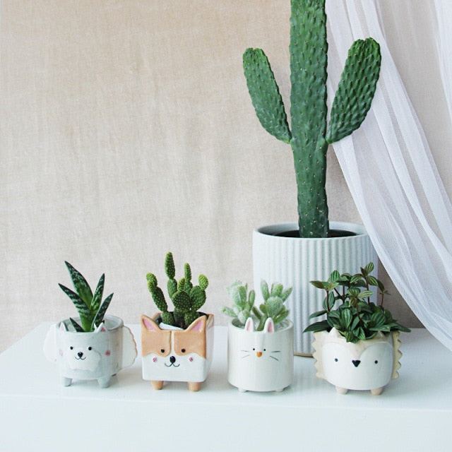 Fanima - Cute Cartoon Succulent Ceramic Flower Pot