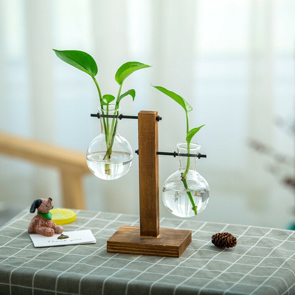 Terra - From the Forest Hydroponic Plant Vase