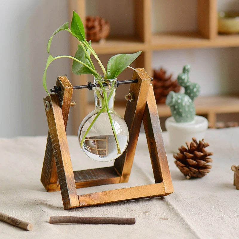 Terrarium - Natural Wood Hydroponic Transparent Vase