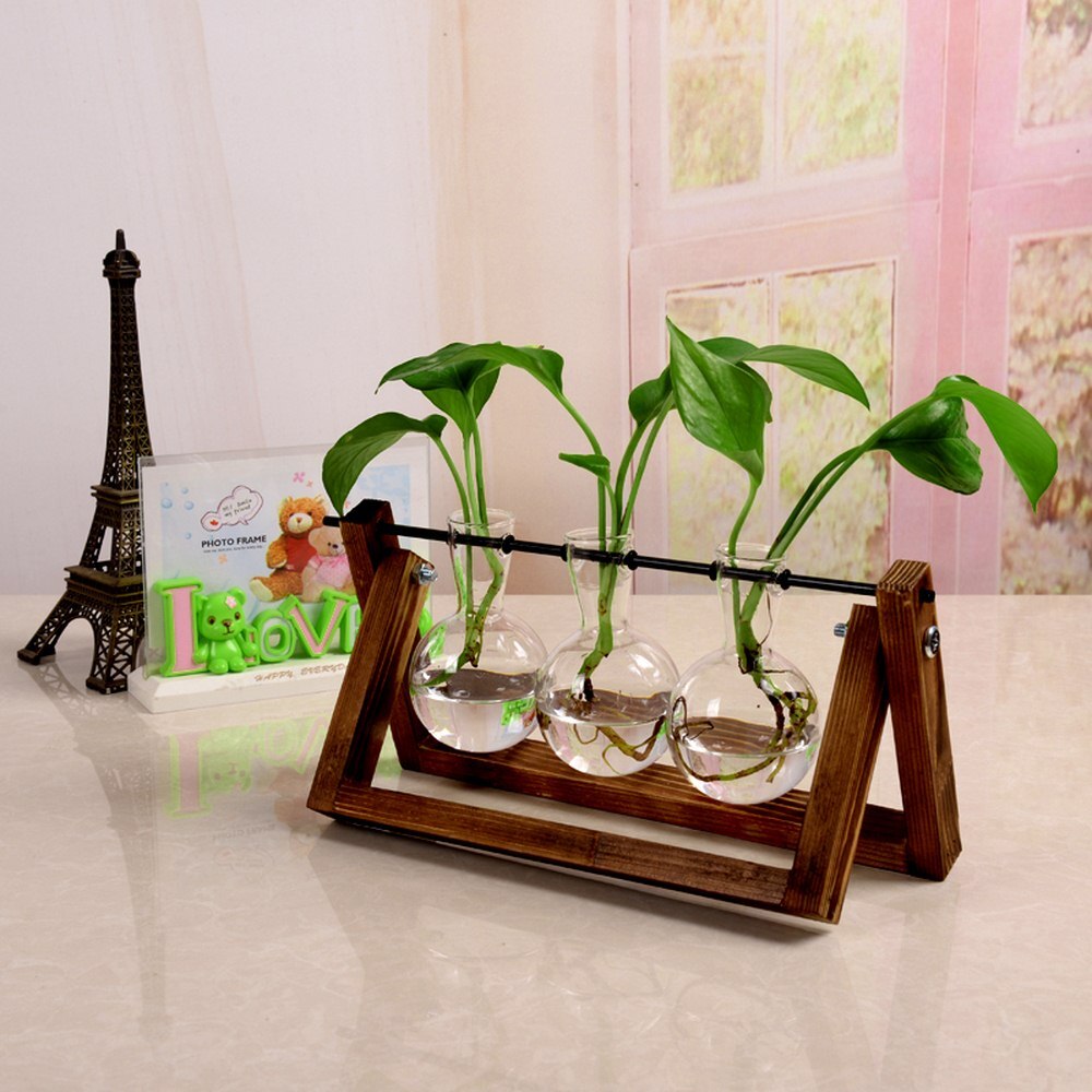 Terrarium - Natural Wood Hydroponic Transparent Vase