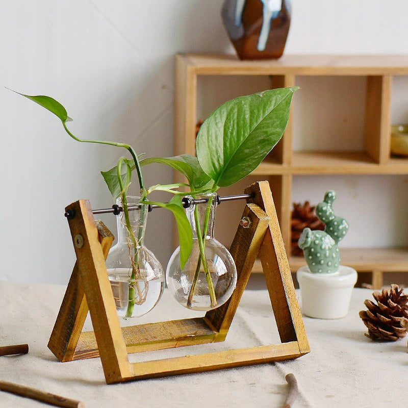 Terrarium - Natural Wood Hydroponic Transparent Vase