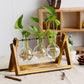 Terrarium - Natural Wood Hydroponic Transparent Vase