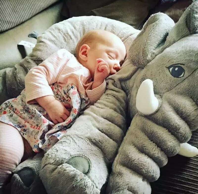 Elefino - Ultra Soft Elephant Pillow Dolls For Babies