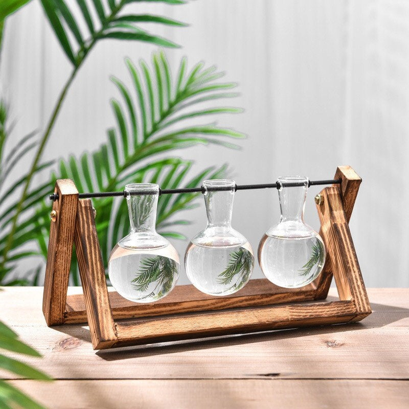 Terrarium - Natural Wood Hydroponic Transparent Vase