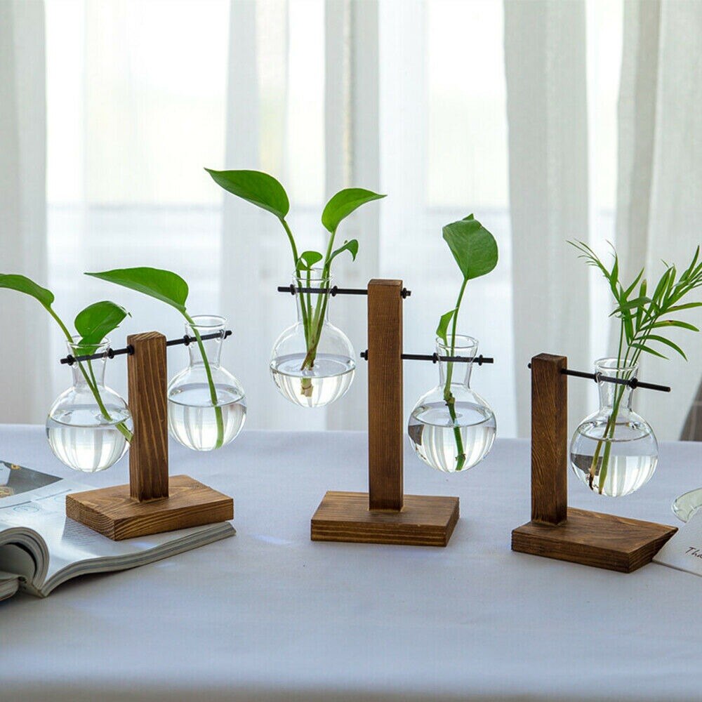 Terra - From the Forest Hydroponic Plant Vase