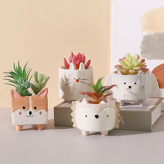 Fanima - Cute Cartoon Succulent Ceramic Flower Pot