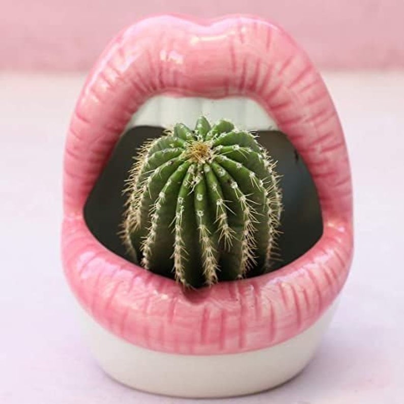Lebe - Ceramic Lips Flower Pot