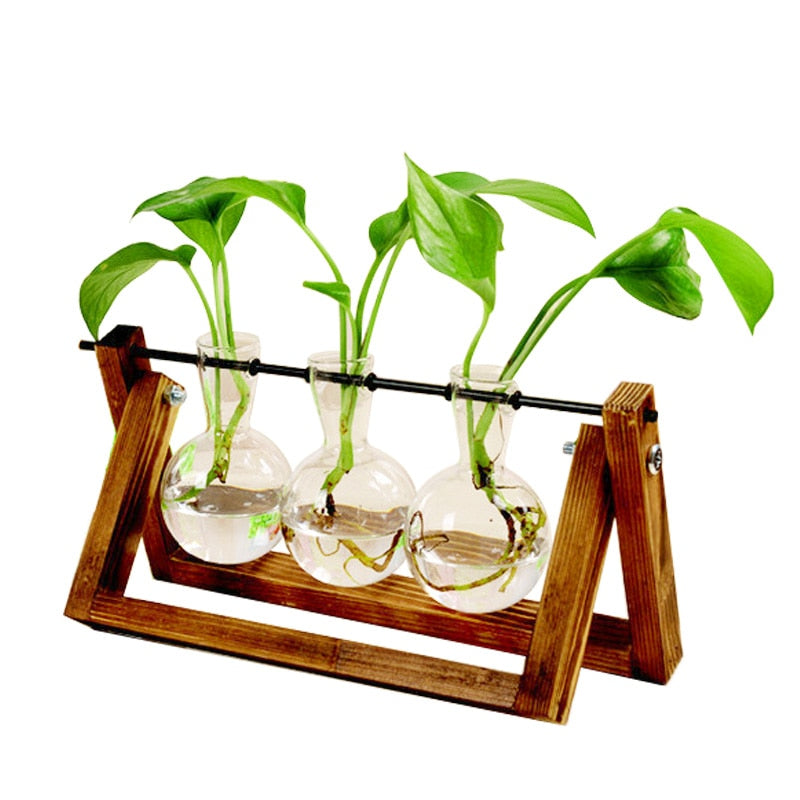 Terrarium - Natural Wood Hydroponic Transparent Vase