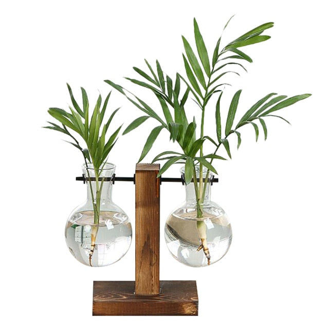 Terra - From the Forest Hydroponic Plant Vase