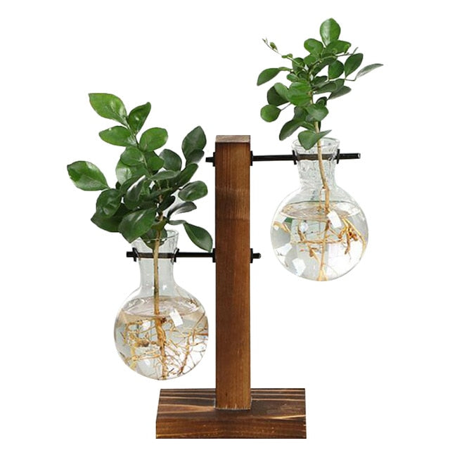 Terra - From the Forest Hydroponic Plant Vase