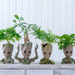 Sugi - Cute Baby Groot Flower Pot